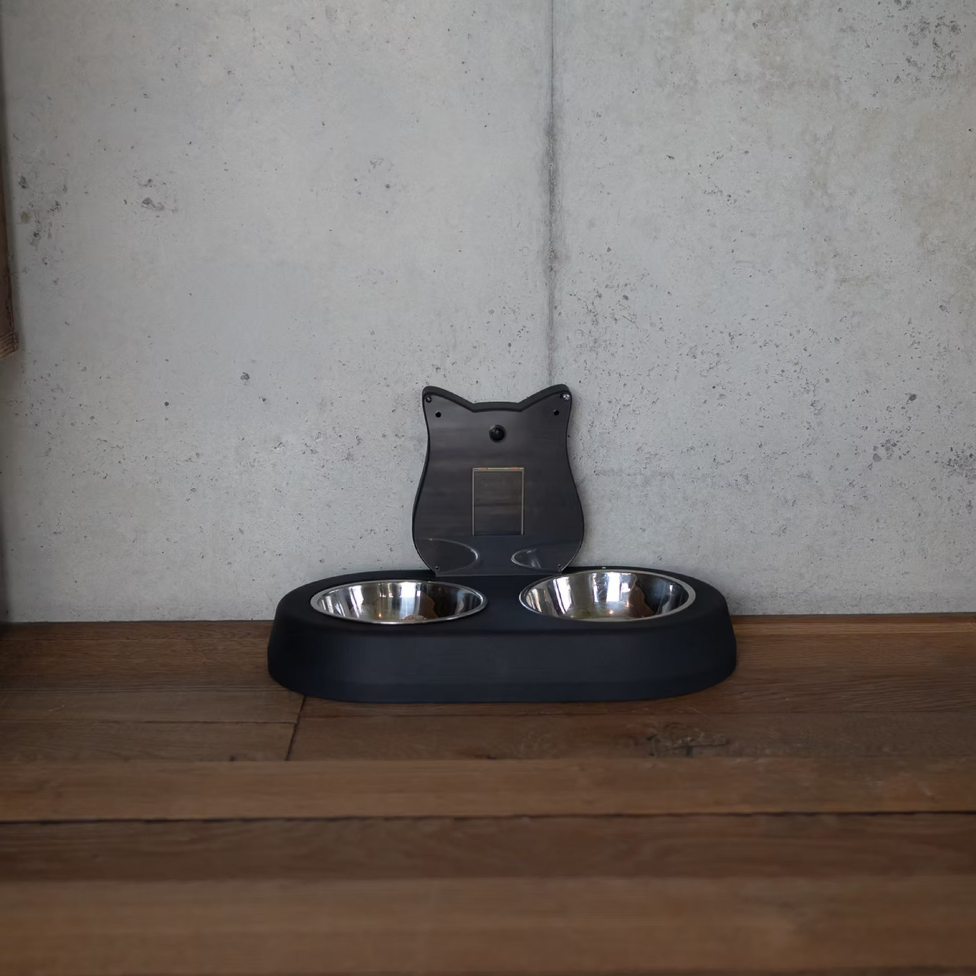 Станция оценки состояния кота: AI Tails